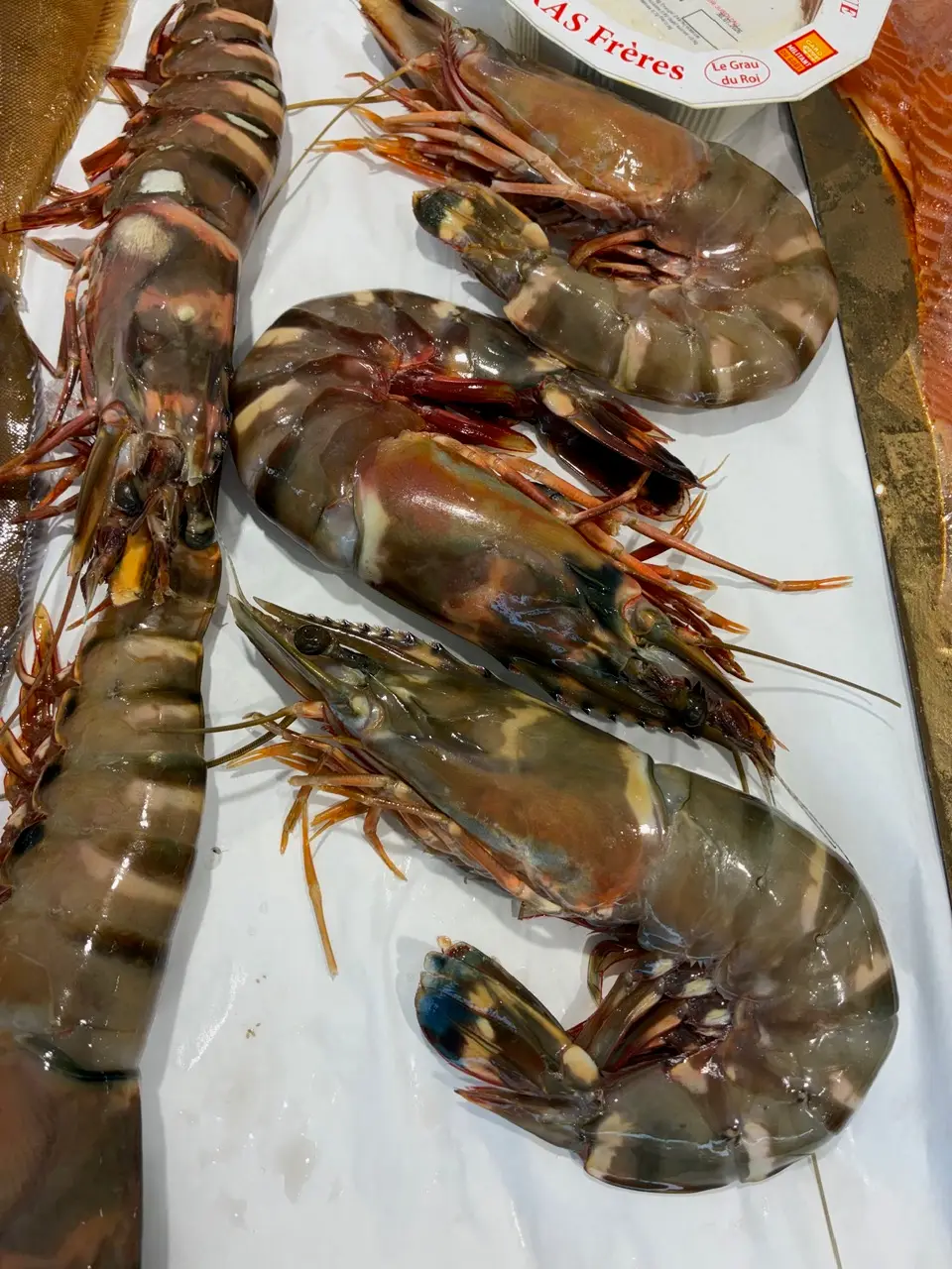 Gambas crues